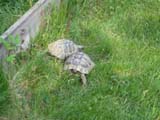 IMG_9191
