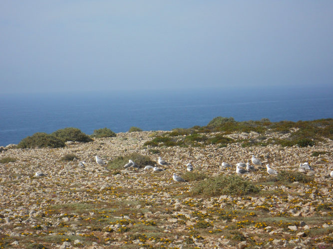 DSCN0632