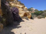 DSCN0681