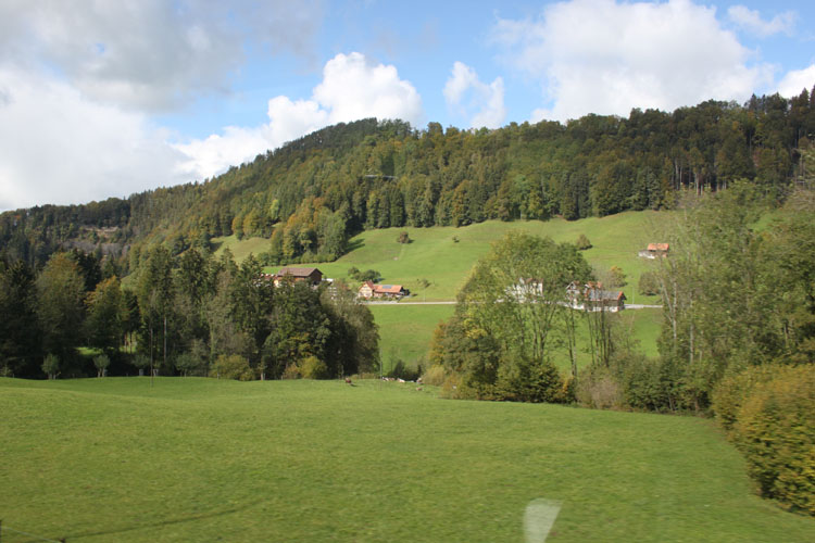 IMG_0372