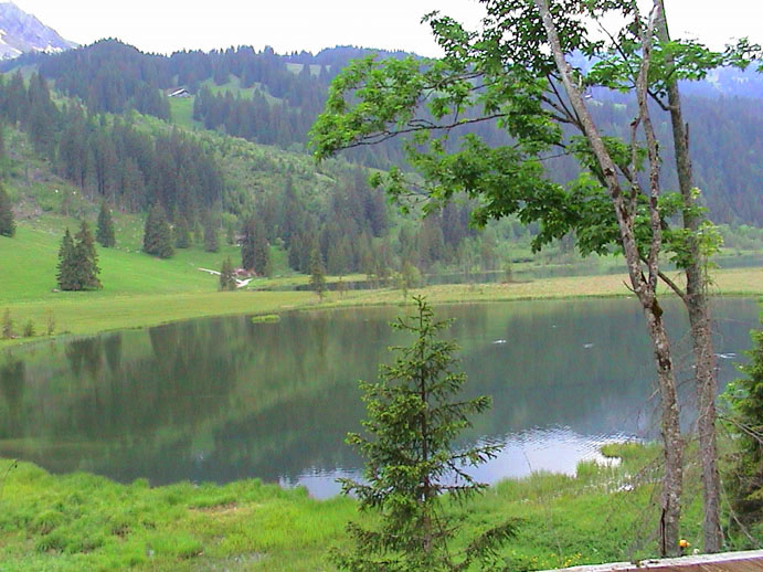 DSC00083