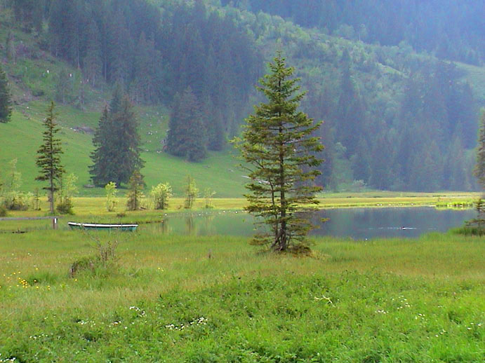 DSC00088
