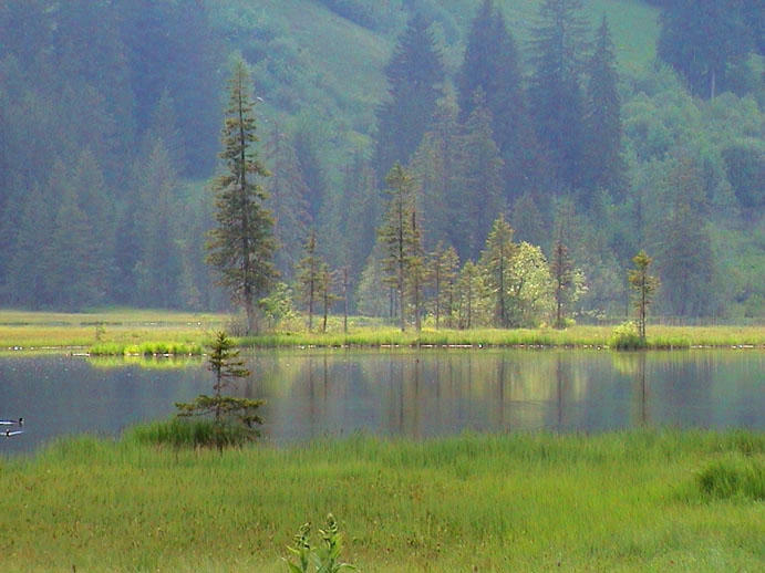 DSC00089