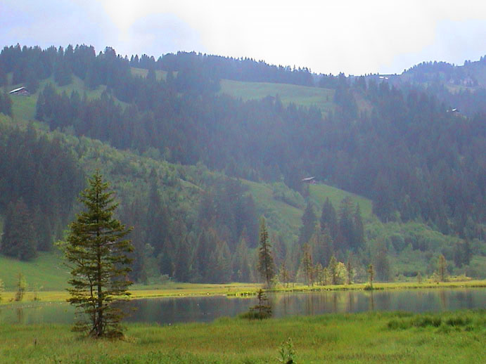 DSC00090