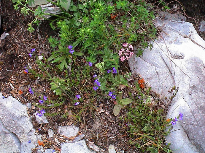 DSC00099
