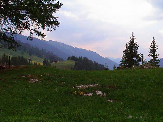 DSC00103