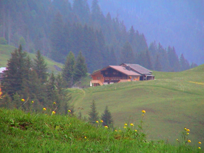 DSC00104
