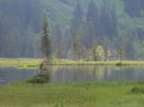 DSC00089