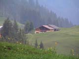 DSC00104