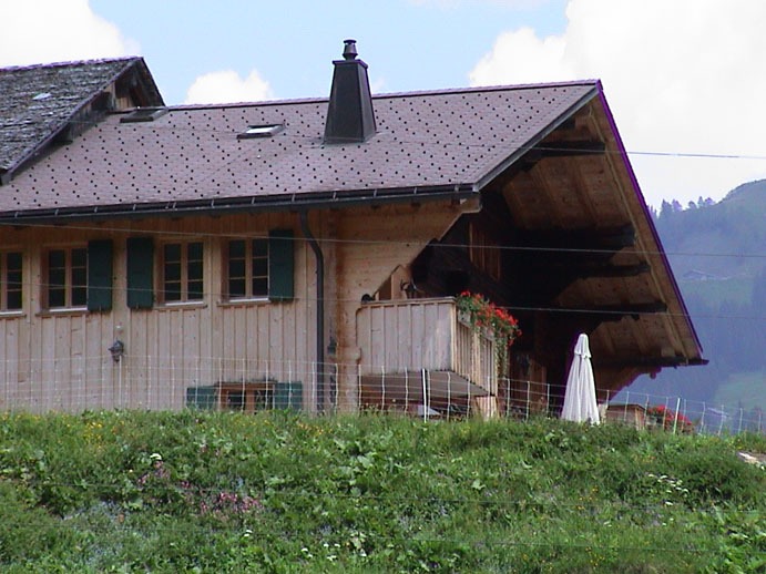 DSC00004