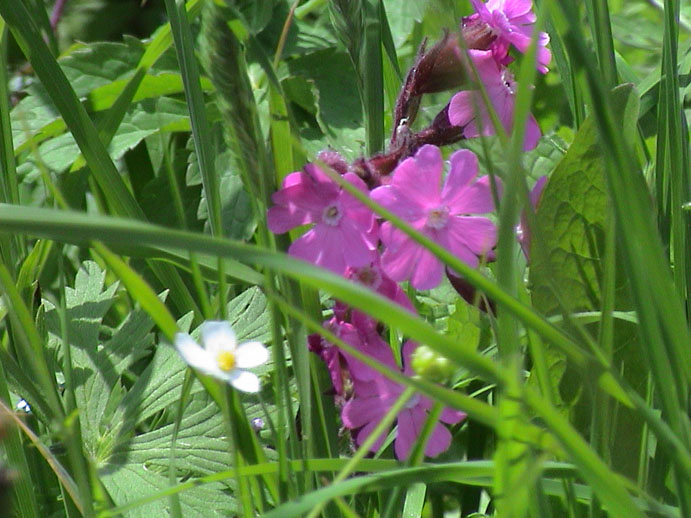 DSC00006