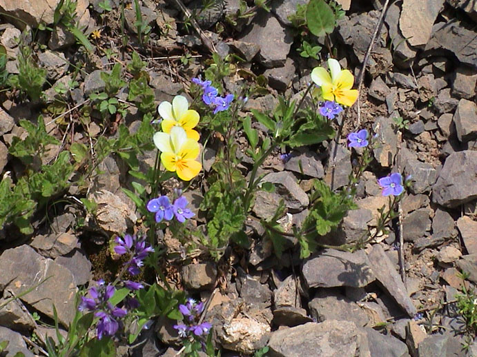 DSC00008