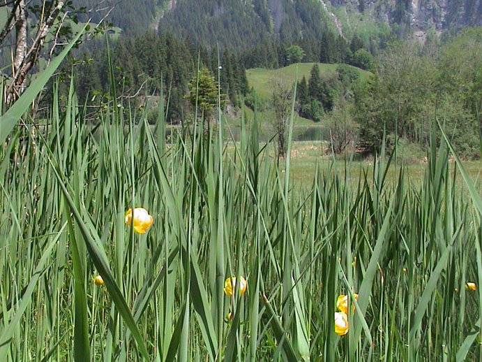 DSC00034