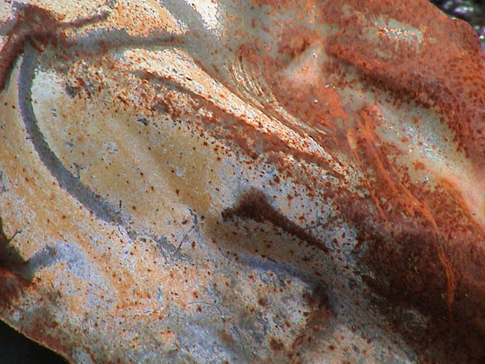 DSC00035