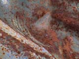 DSC00036