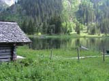 DSC00042